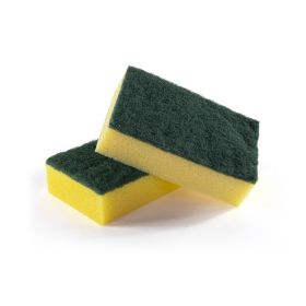 Basic Sponge Scourer